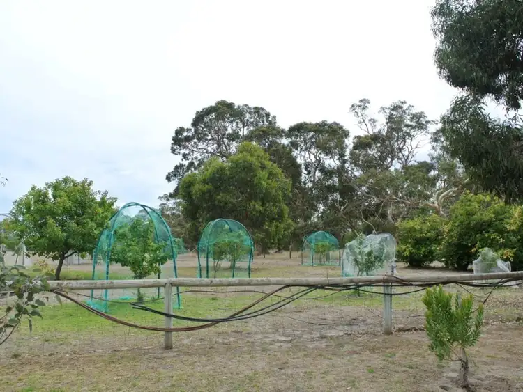 Fifth view of Homely rural property listing, 237 Avenue Range Road, Reedy Creek, Kingston Se SA 5275