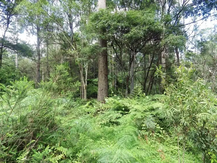 Fourth view of Homely rural property listing, 1038 Ellis Road, Clouds Creek NSW 2453