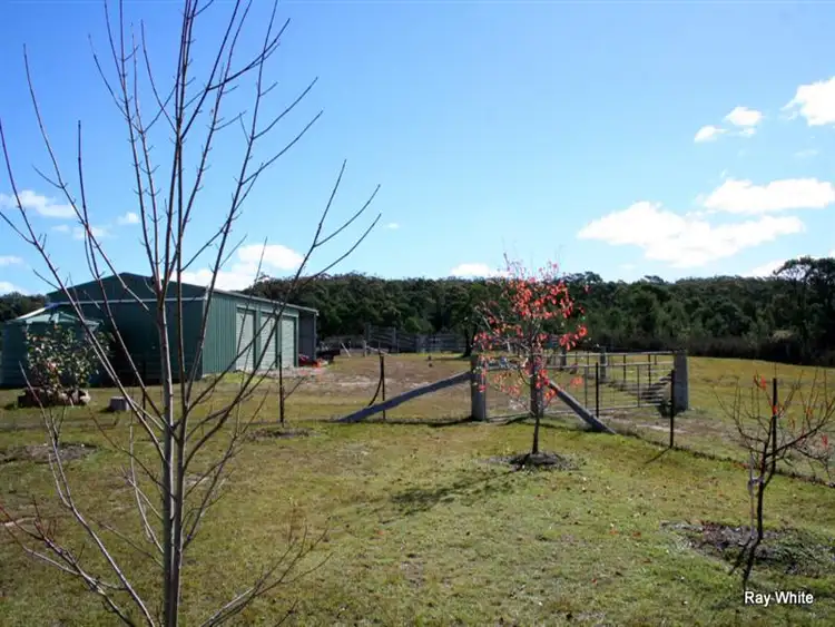Fifth view of Homely rural property listing, 647 Back Creek Road, Braidwood NSW 2622