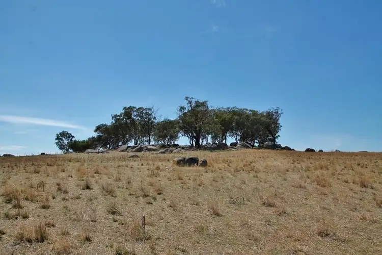 Fourth view of Homely land listing, 405 (Lot 3) Spring Creek Road, Young NSW 2594