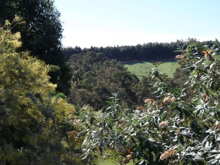 Fifth view of Homely rural property listing, 3 Halleys Road, Nannup WA 6275