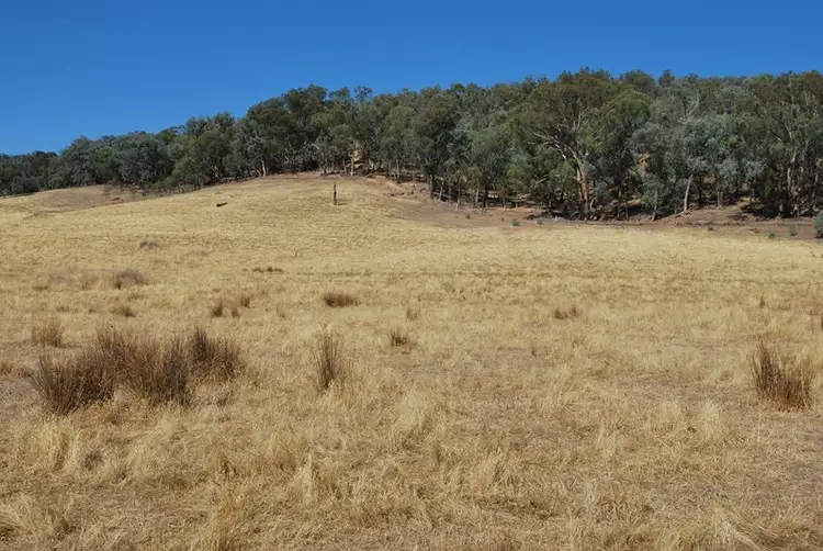 Fifth view of Homely rural property listing, Top Paddock Rae Road, Murmungee VIC 3747