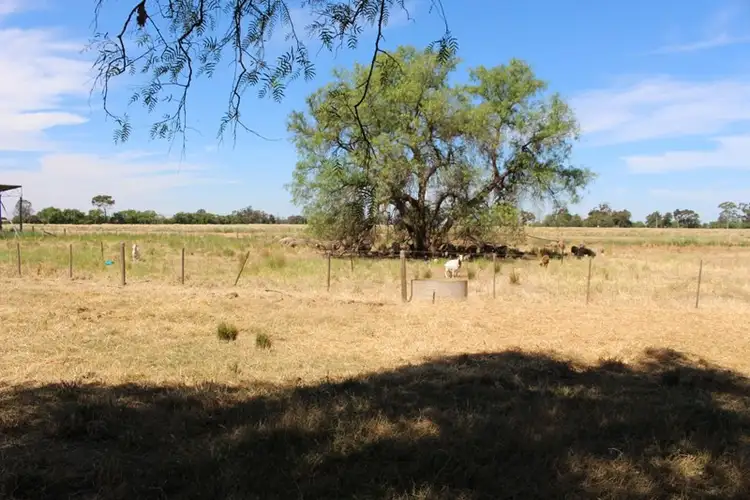 Seventh view of Homely rural property listing, 549 Zegelin Road, Nanneella VIC 3561