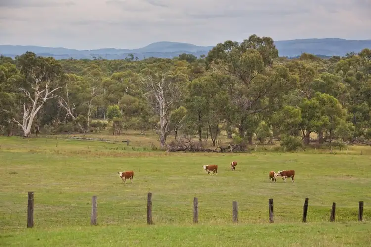 Fourth view of Homely house listing, 254 Hartley Vale Road, Hartley Vale NSW 2790
