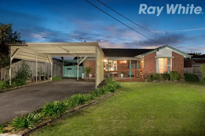 Main view of Homely house listing, 50 Cameron Parade, Bundoora VIC 3083