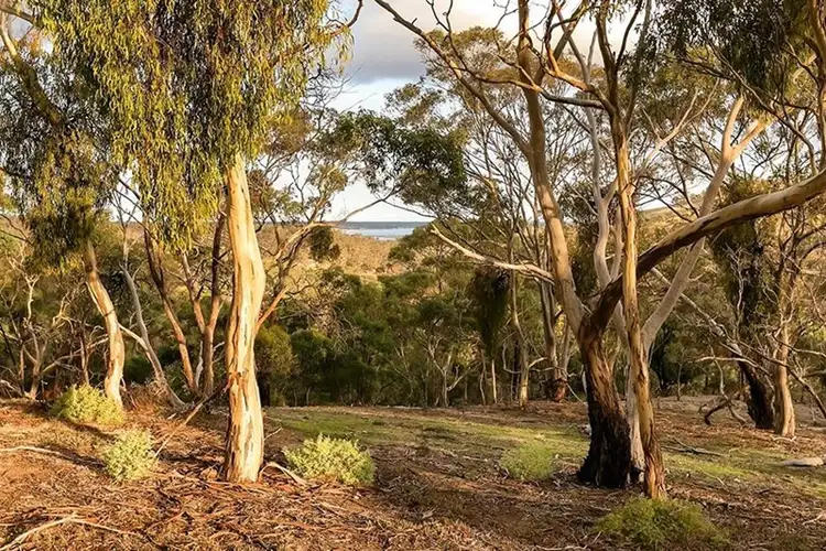 Fifth view of Homely land listing, 11 Lebrex Road, Coimadai VIC 3340
