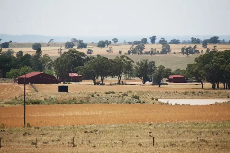 Third view of Homely rural property listing, 1 "Glenowra", Condobolin NSW 2877
