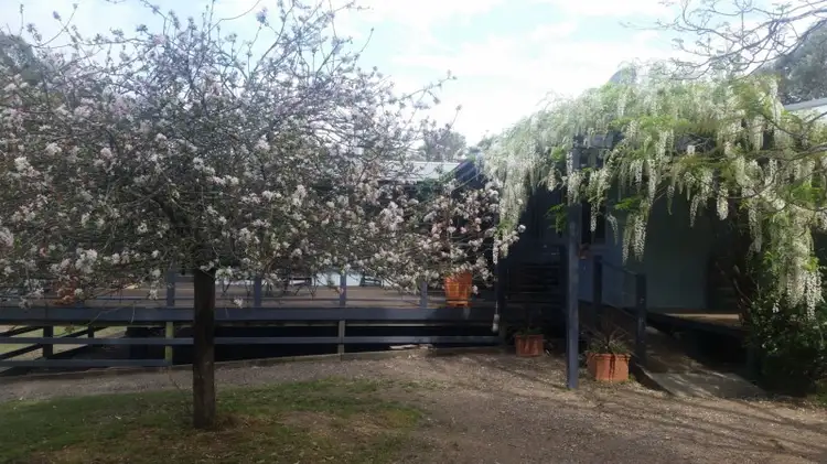 Fourth view of Homely rural property listing, 604 Wallarobba-Brookfield Road, Dungog NSW 2420