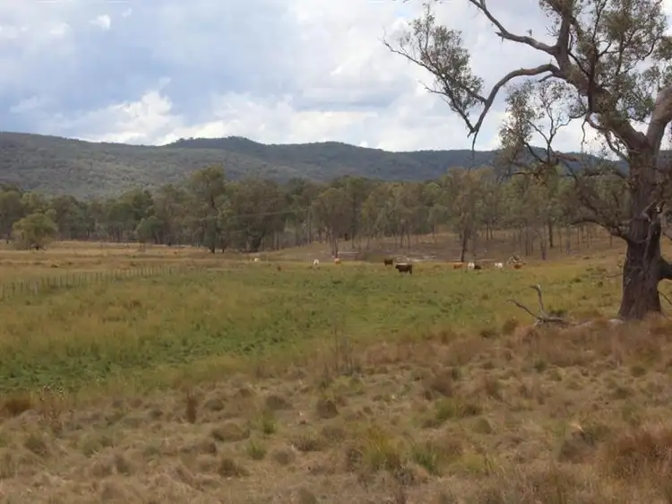 Fourth view of Homely rural property listing, . Bruxner Highway, Tenterfield NSW 2372