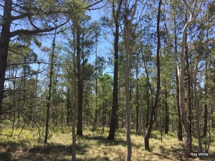Third view of Homely rural property listing, 160 Nerriga Road, Braidwood NSW 2622