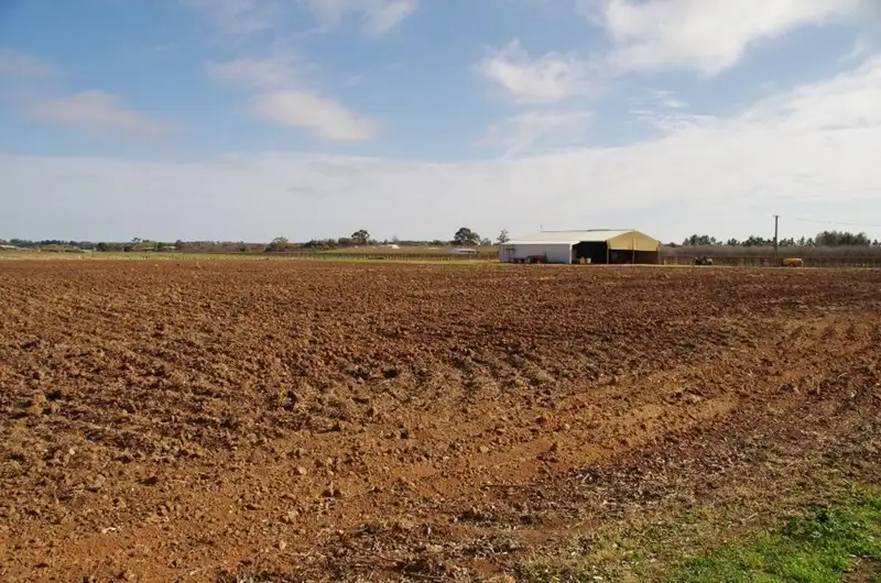 Main view of Homely rural property listing, 298 Kulkyne Street, Renmark SA 5341