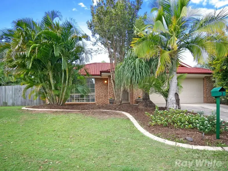 Main view of Homely house listing, 3 Morgan Close, Yaroomba QLD 4573