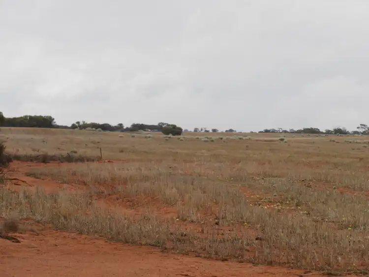 Fifth view of Homely rural property listing, 0 Trellies, Canna WA 6627