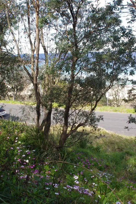Sixth view of Homely land listing, 12 Beach Road, Mollymook Beach NSW 2539