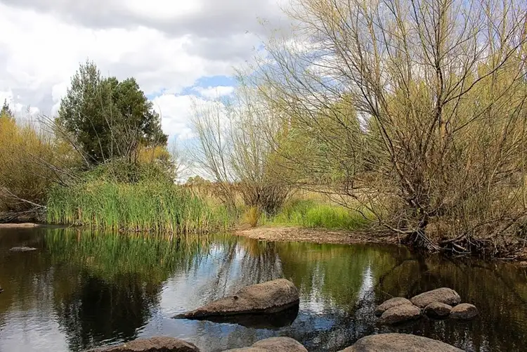 Sixth view of Homely rural property listing, Address available on request