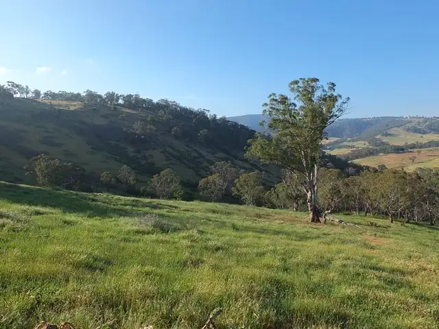 Fourth view of Homely rural property listing, 571 Cuthill Road, Hampton NSW 2790