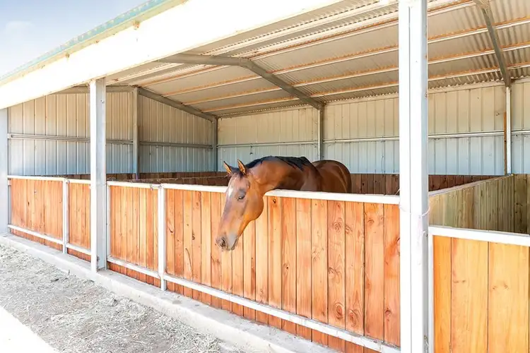 Sixth view of Homely house listing, 32 Brady Road Barabba Via, Mallala SA 5502