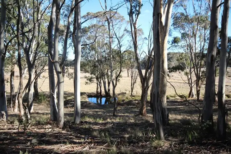 Seventh view of Homely rural property listing, 101 Tuglow Road, Oberon NSW 2787