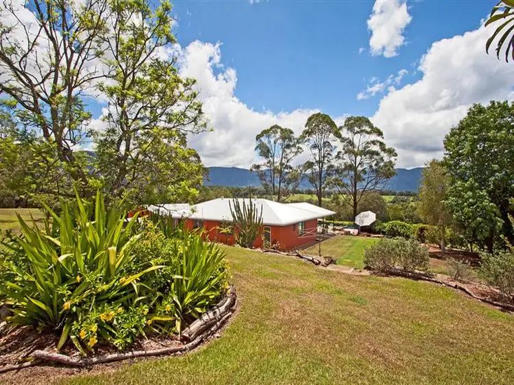 Third view of Homely rural property listing, 1674 BYRRILL CREEK Road, Tyalgum NSW 2484