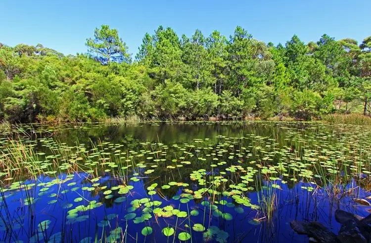 Seventh view of Homely rural property listing, Address available on request