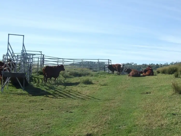 Third view of Homely rural property listing, 1191 Djuan Road, Haden QLD 4353