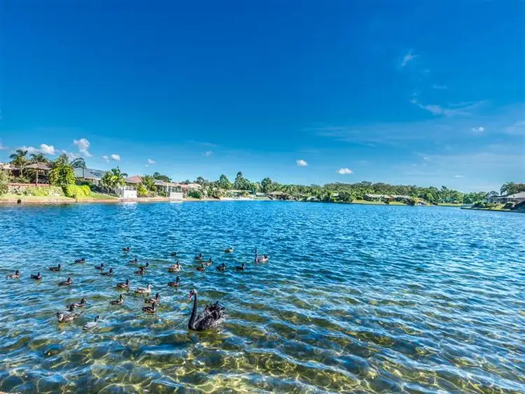 2/17 Kangaroo Avenue, Coombabah QLD 4216