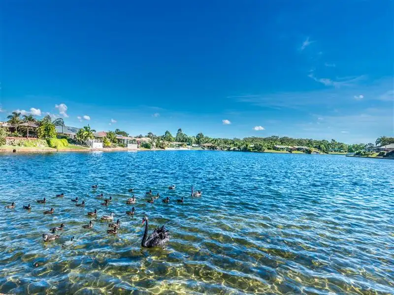 Main view of Homely house listing, 2/17 Kangaroo Avenue, Coombabah QLD 4216