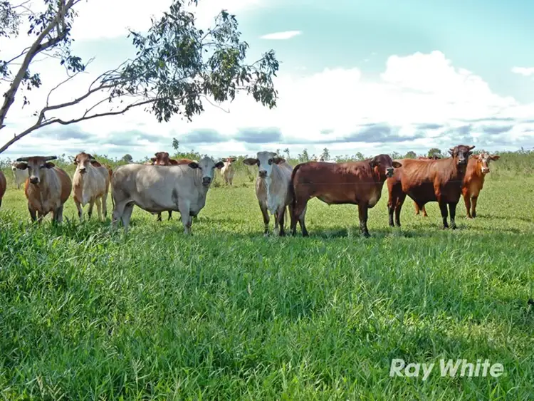 Sixth view of Homely rural property listing, Address available on request