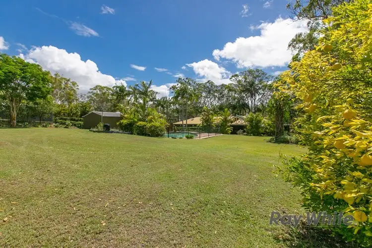 Fifth view of Homely rural property listing, 6 Firtree Street, Capalaba QLD 4157
