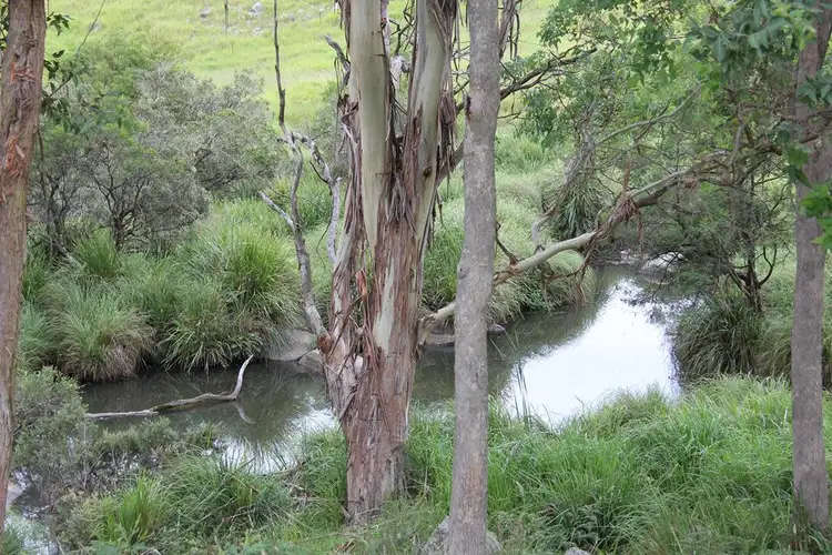Sixth view of Homely rural property listing, 1091 Timbarra Road, Tenterfield NSW 2372