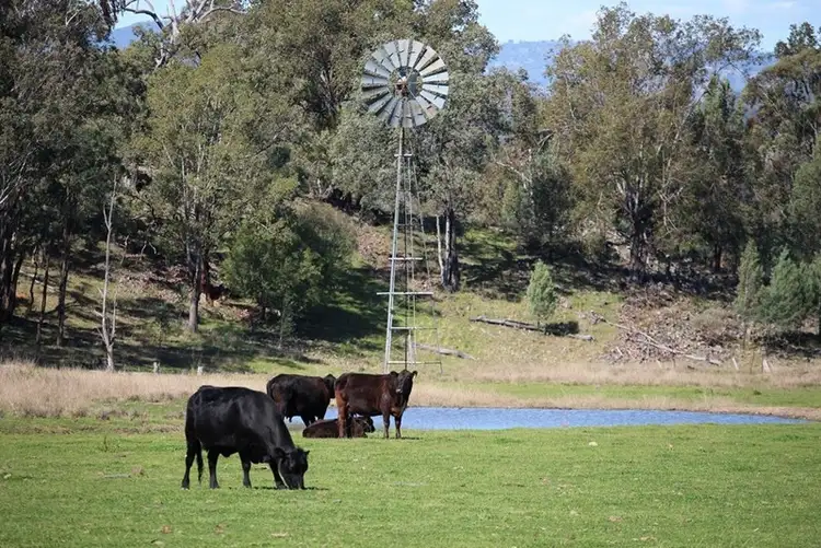 Sixth view of Homely rural property listing, 244 Sheep Station Creek Road, Bingara NSW 2404