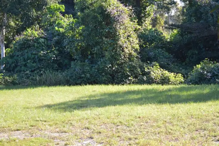 Third view of Homely land listing, 31 Holland Street, Wongaling Beach QLD 4852