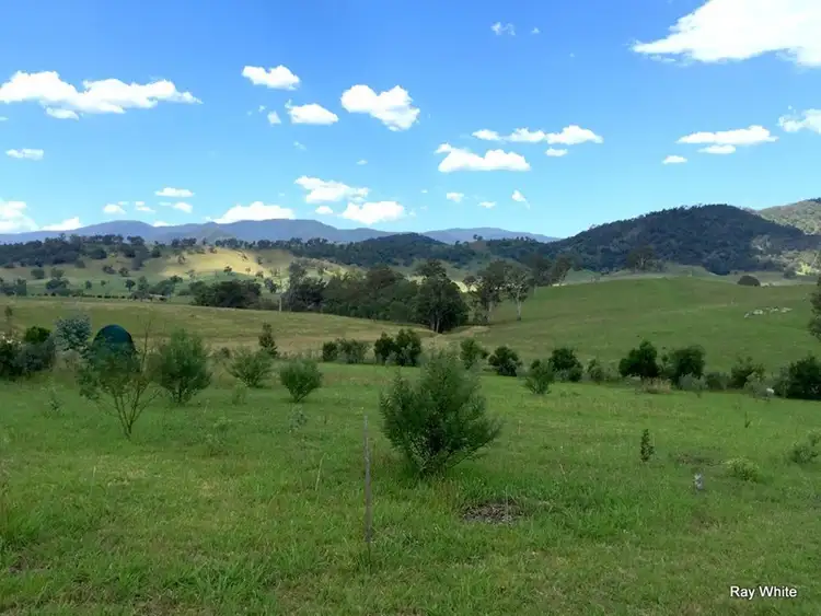 Second view of Homely rural property listing, 800 Neringla Road, Araluen NSW 2622