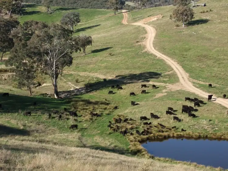 2102 Turondale Road, Bathurst NSW 2795