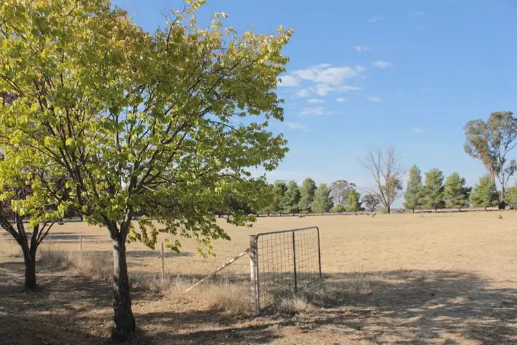 Fourth view of Homely rural property listing, 7591 Milvale Road, Temora NSW 2666