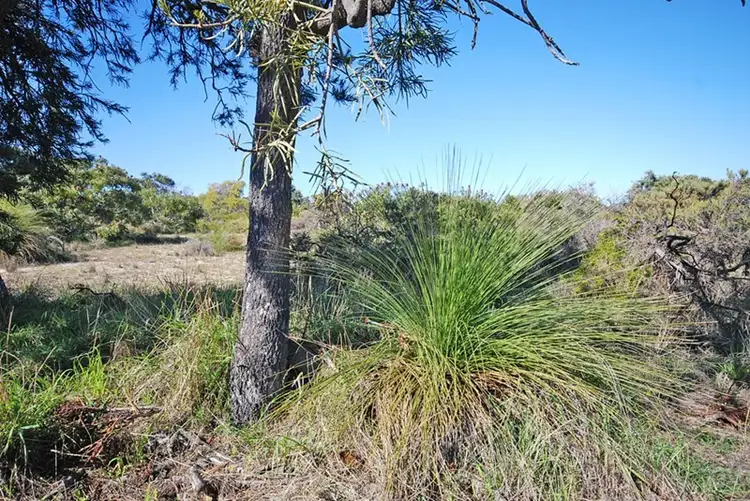 Fifth view of Homely land listing, Lot 242 Zendora Road, Jurien Bay WA 6516