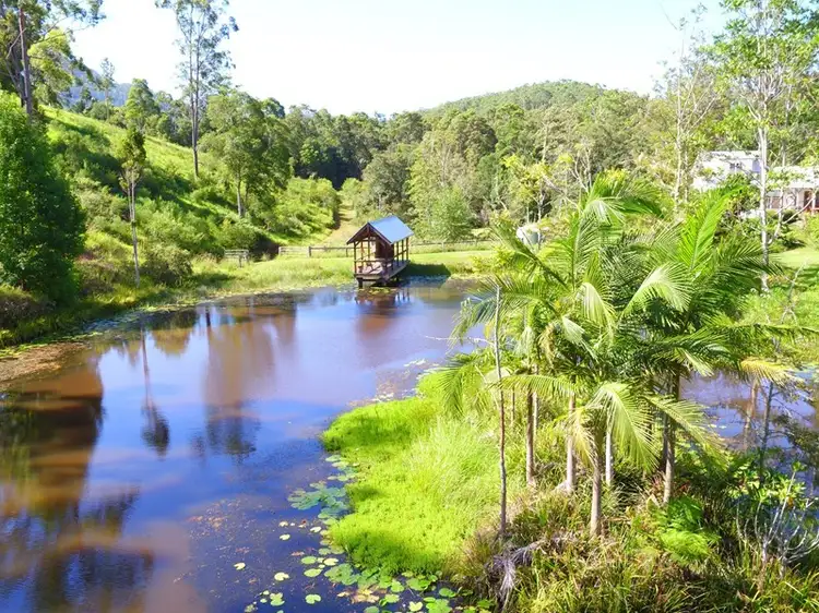 Seventh view of Homely rural property listing, 351 Zara Road, Tyalgum NSW 2484