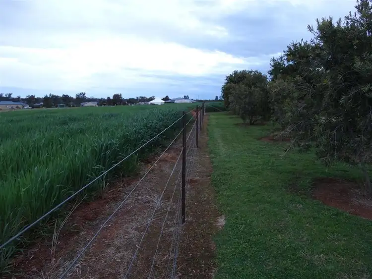 Sixth view of Homely house listing, 187 Back Yamma Road, Parkes NSW 2870