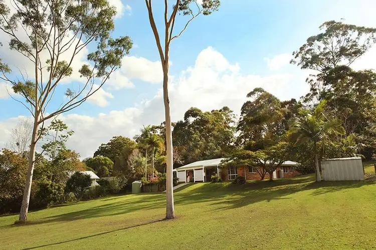 Main view of Homely house listing, 161 Eudlo Flats Road, Diddillibah QLD 4559