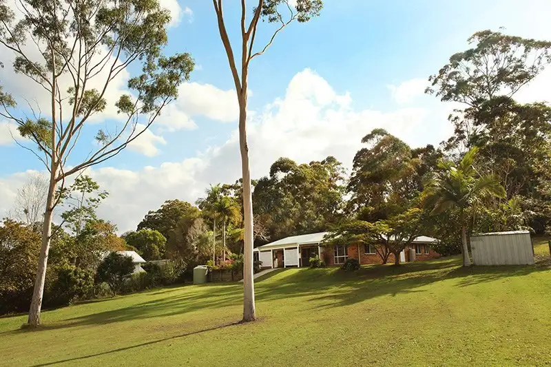 Main view of Homely house listing, 161 Eudlo Flats Road, Diddillibah QLD 4559