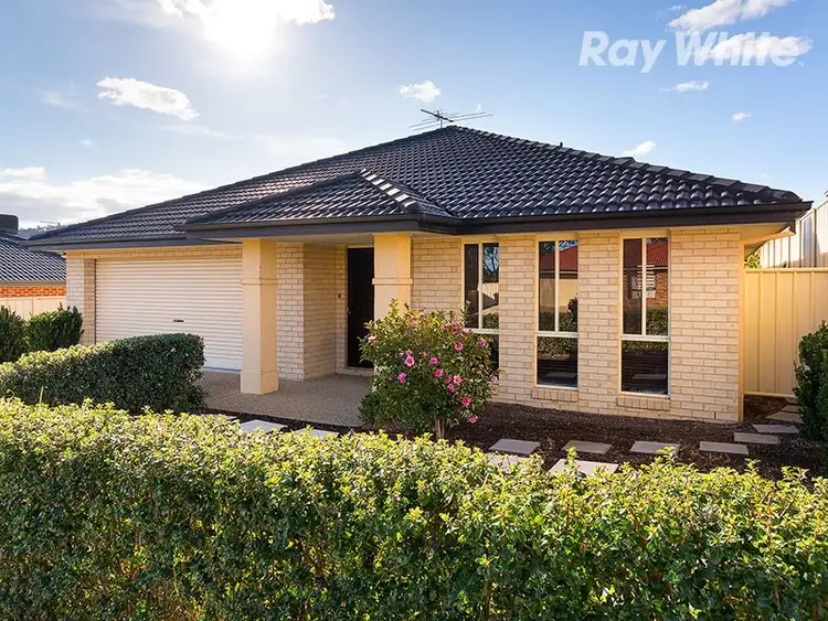 8 St Levans Place, Lavington NSW 2641