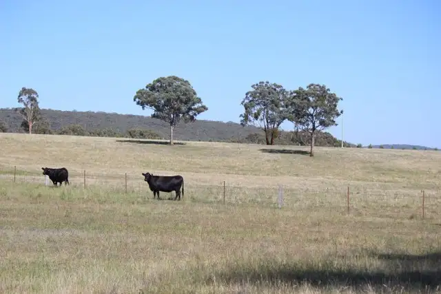 Second view of Homely rural property listing, Address available on request