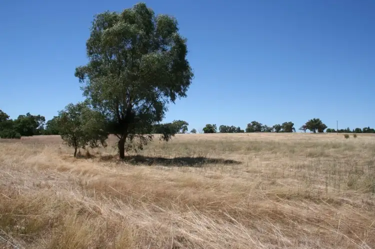 Third view of Homely rural property listing, Address available on request