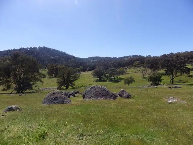 Fifth view of Homely rural property listing, Lots 156 and 157 Tarrants Gap Road, Wyangala NSW 2808