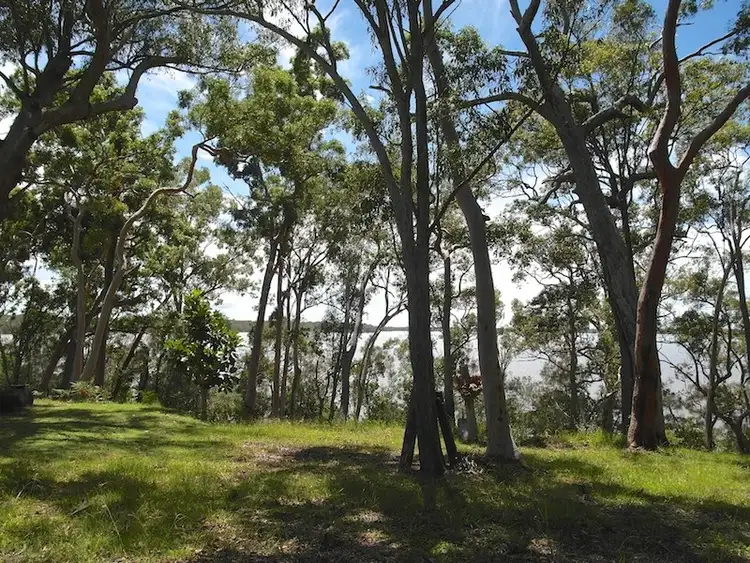 Fifth view of Homely land listing, 43 Morning Glory Drive, Cooroibah QLD 4565