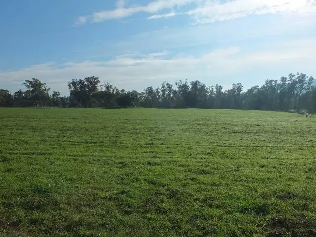 Seventh view of Homely rural property listing, Address available on request