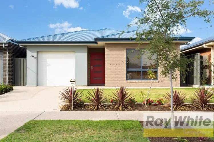Main view of Homely house listing, 164 Strathfield Terrace, Largs North SA 5016