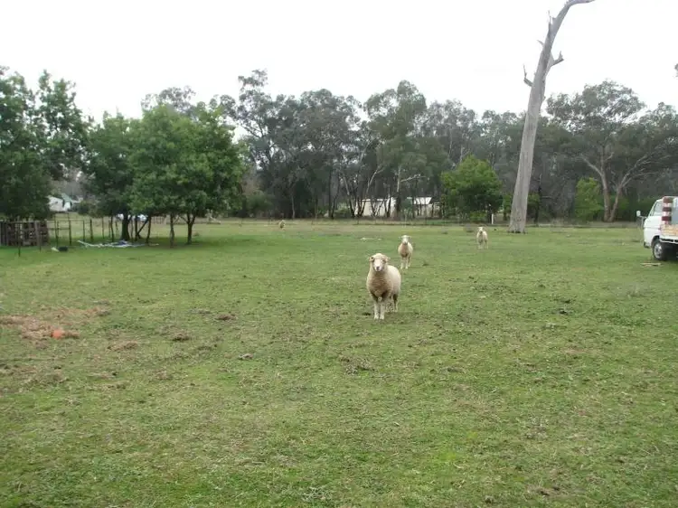 Fourth view of Homely rural property listing, 26 Lachlan Street, Koorawatha NSW 2807