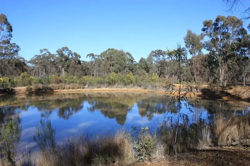 Main view of Homely land listing, 159 Wongaburra Road, Lockwood VIC 3551