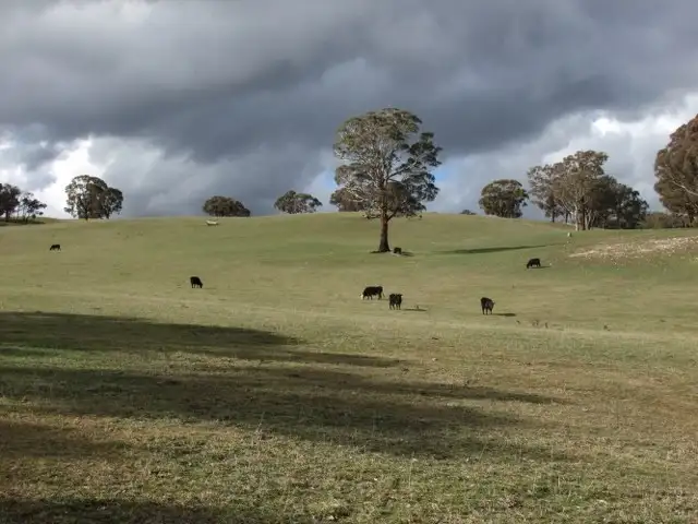 Main view of Homely rural property listing, Address available on request